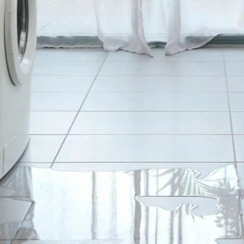 Appliance Leak Cleanup in Middlebourne, WV