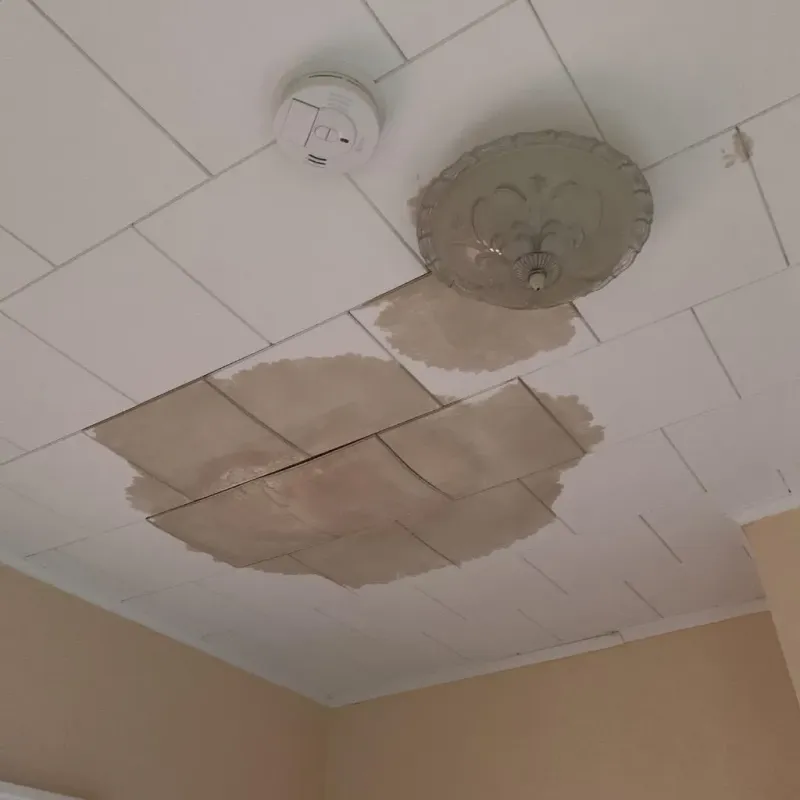 Ceiling Water Damage Repair in Middlebourne, WV