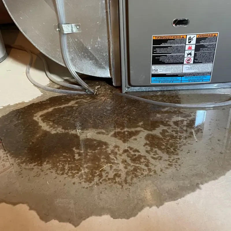 Pipe Burst and Leak Restoration in Middlebourne, WV