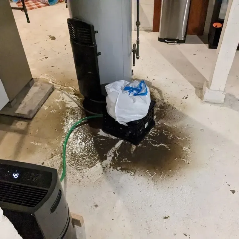 Sewage Backup Cleanup Service in Middlebourne, WV